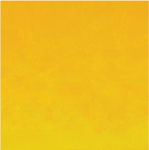 Cadmium Yellow Medium