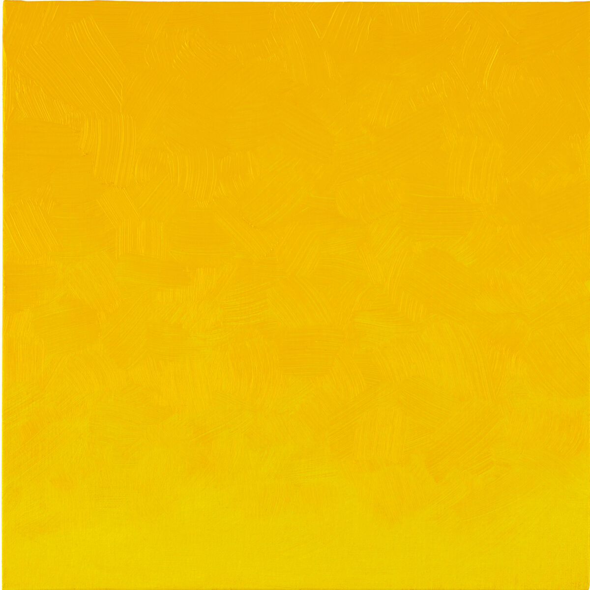 Permanent Yellow Light
