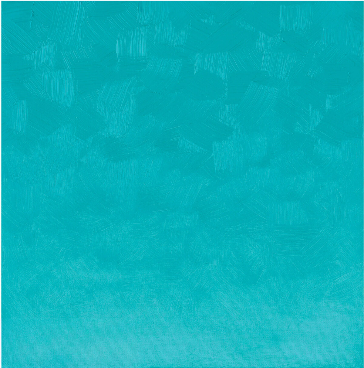 Cobalt Caribbean