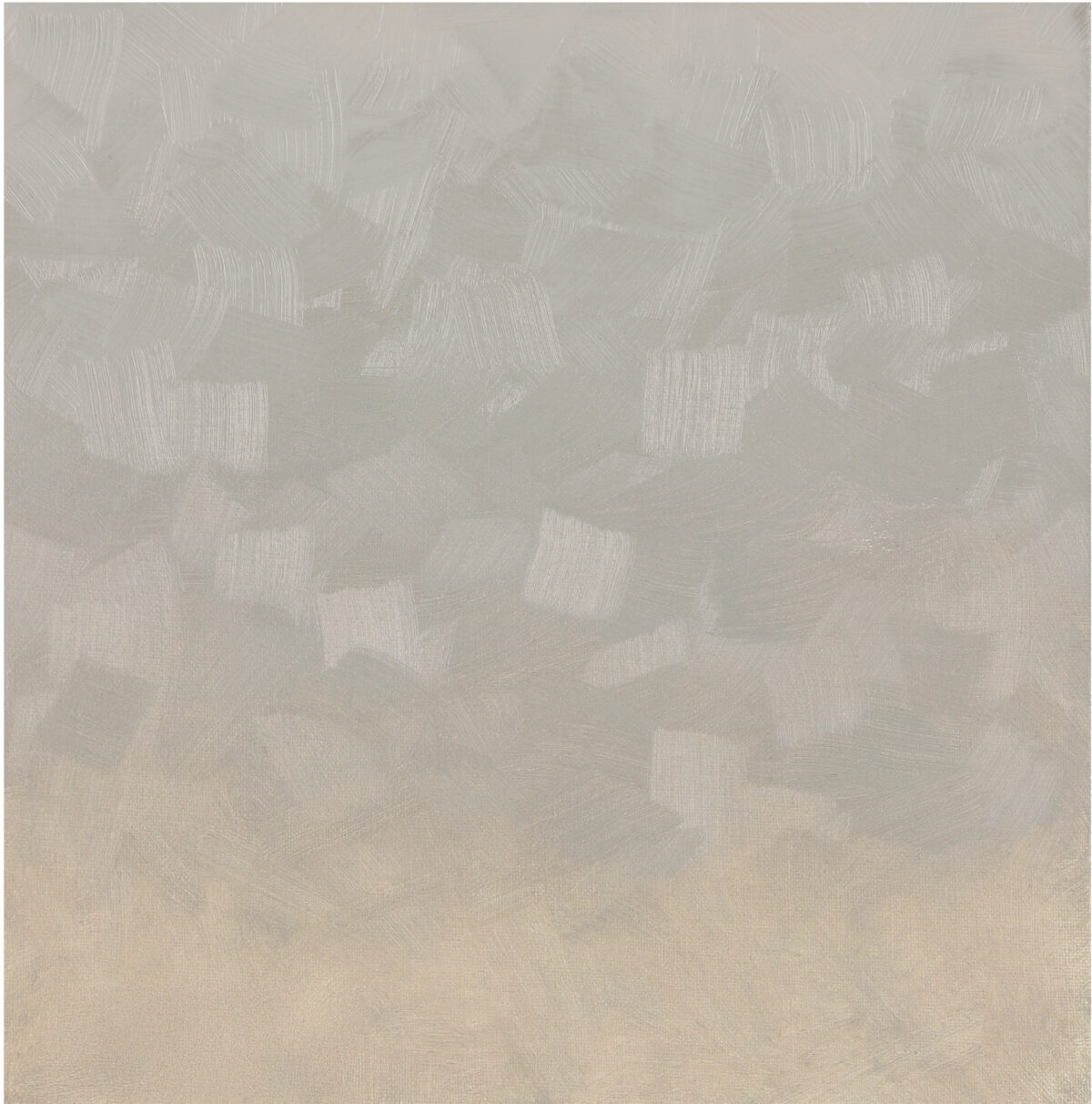 Neutral Gray 7
